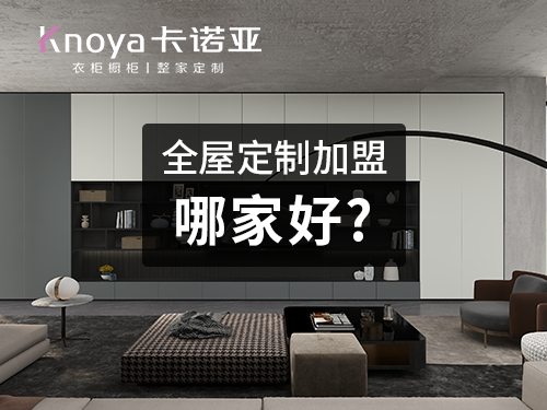 2022年連雲港市全屋定製加盟哪個品牌好?