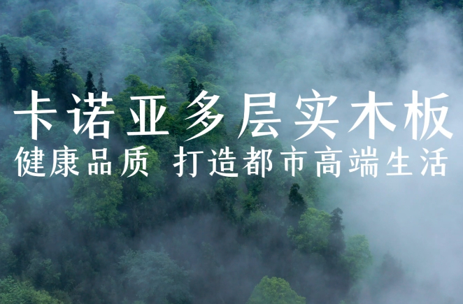 探花在线视频多層實木板，環保品質再升級